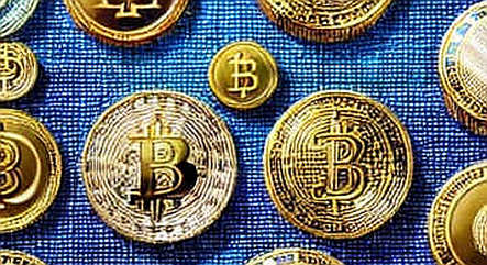 The Silence of the Miners: Why July 29's Crypto Stock Sell-Off Was Not About Bitcoin