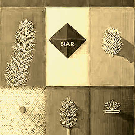 The SEC's ‘Safe Harbor’ Draft: A Code-First Autopsy of the Compliance Mirage The SEC's ‘Safe Harbor’ Draft: A Code-First Autopsy of the Compliance Mirage